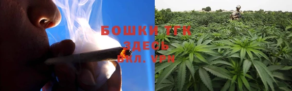 гидропоника Абаза