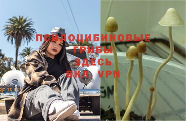 гидропоника Абаза